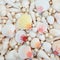 Abstract Seashell and Pearl Background