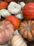 Abstract Several Seasonal Gourds Background