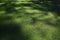 Abstract shaded lawn grass mottled texture