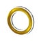 Abstract shear golden ring. Gold color Vector light circles round frame