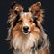 Abstract Sheltie Painting: Simplistic Vector Art Of A Charming 8bit Shetland Sheepdog