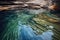 abstract shot of water ripples in a serene natural pool setting