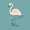 Abstract single pink flamingo standing on one leg