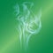 Abstract smoke on gem Emerald color background