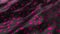 Abstract smooth surface with ripples. Cloth with waves. Pink pattern of dots spots on a black canvas. Fashion luxury textile.For