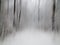 Abstract snow-covered trees