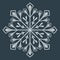 Abstract snowflake shape