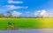 Abstract soft focus semi silhouette the bicycle,green paddy rice field with the beautiful sky and cloud in the evening in Thailand