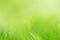 Abstract, soft grass background