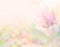 Abstract soft sweet pink flower background from Lily flowers