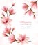 Abstract spring background with beautiful magnolia