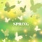 Abstract Spring Greeting Card or Poster Design. Beautiful Blurred Lights with Butterflies Spring background.