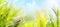 Abstract spring Nature background