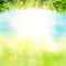 Abstract spring poster with shining sun and blurred background.