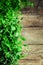 Abstract spring or summer concept. Organic herbs melissa, mint, thyme, basil, parsley on wooden background with