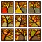 Abstract square badges framed autumn trees with branches.