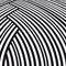 Abstract striped background. Black and white curve pattern.