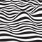 Abstract striped wavy background. Black and white curved lines.