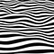 Abstract striped wavy background. Black and white curved lines.