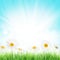 Abstract sunny spring background