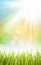 Abstract sunny spring background with grass