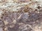 Abstract, surface, soil, minerals in white quarry and sulfur.  Photo for background