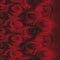 Abstract Swirling Red Roses background