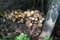 Abstract texture background of stacked logs