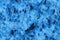 Abstract texture of blue macaw bird parrot feathers