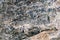 Abstract texture of a large stone photographed close-up.