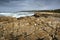 abstract, texture, rocks, plants, stone, rock, nature