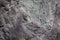 Abstract texture. Surface. Natural material background. Grey rocky wall. Rock for climbing. Fracture stone. Copy space