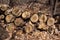 Abstract texture view of a stack of firewood logs