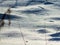 Abstract and textured white, shiny and glittery snow background in winter