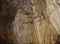 Abstract Textures and Shapes in Sedimentary Rocks in Limestone Caves - Baratang Island, Andaman Nicobar, India