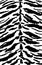 Abstract tiger horizontal black and white stripes, exotic animal skin design background.