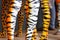 Abstract tiger stripes on human legs