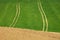 Abstract tractor trails in green field