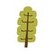 Abstract tree, forest leaf plant in kids primitive style. Childish naive simple shape clipart with branches, trunk