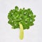 Abstract tree made from green spinach leaves and zucchini. Healthy food, dietary and weight lose concept. Top view, copy space