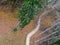 Abstract tree, top view, ground colored leaves,