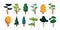 Abstract trees. Cartoon deciduous green wood plants, botany foliage, evergreen trees with branch lush crowns. Vector set