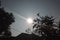 Abstract trees and house shade in the solar eclipse