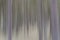 Abstract trees in vertical blur