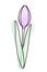 Abstract tulip in watercolor manner in trendy pale shades. Design element for springtime greetings