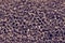 Abstract twisted texture glamourous gray color