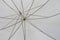 Abstract umbrella stem wire