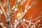 Abstract unfocused background with Christmas decorations.