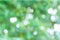 Abstract unfocused green nature forrest background