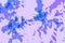 Abstract unique irregular violet tint background